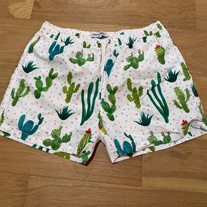 Maagic Men’s Swimsuit XL - Cactus/Desert Pattern